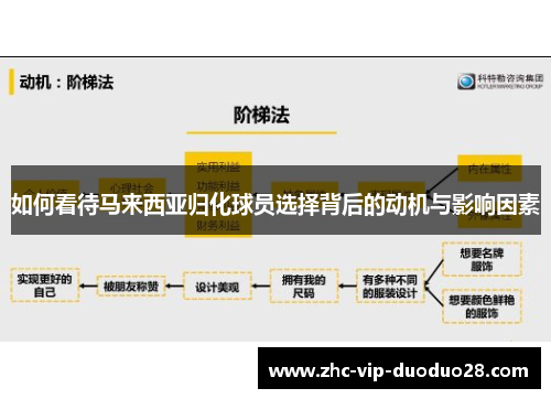 如何看待马来西亚归化球员选择背后的动机与影响因素