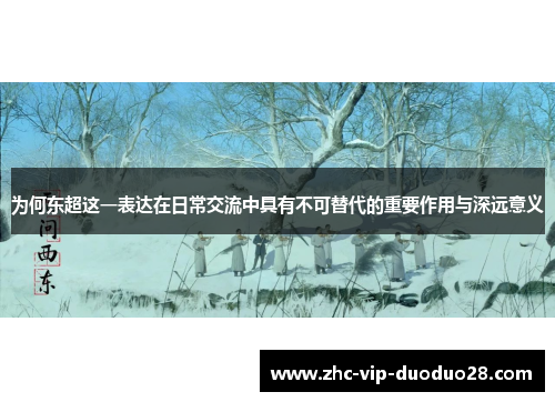 为何东超这一表达在日常交流中具有不可替代的重要作用与深远意义