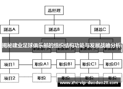揭秘建业足球俱乐部的组织结构功能与发展战略分析