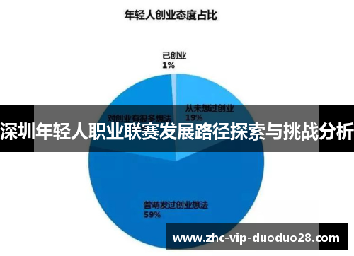 深圳年轻人职业联赛发展路径探索与挑战分析 深圳年轻人职业联赛发展路径探索与挑战分析